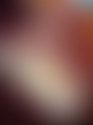 Piškotová střecha - krtkův dort