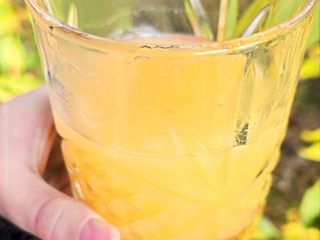 Ginger shot s pomerančem