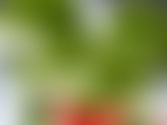 Bezlepkový mechový dort ve formě muffinů 