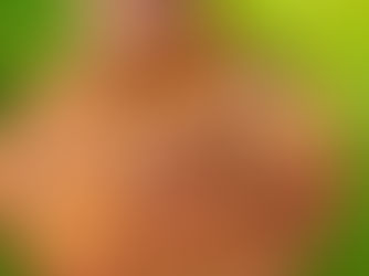 Jednoduchý banánový chlebíček s čokoládou