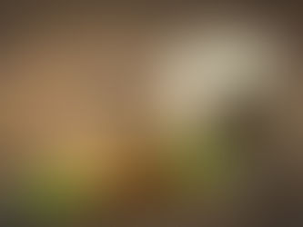 Cumin Digestive Tea for Babies