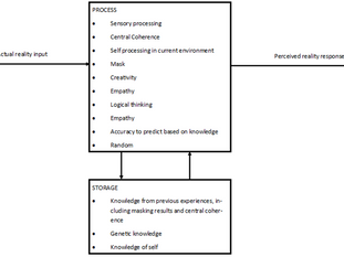 Critical Reflections of Autism Dominant Theories