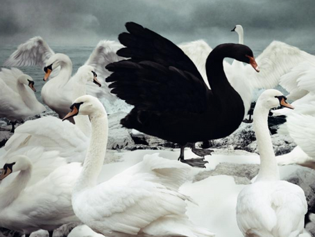 The Problem with Outliers and Black Swans in 2020
