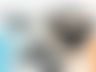 Britain's Decarbonisation: Lessons and Inspirations