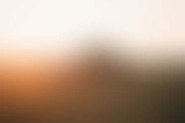 Technology, Sustainability, and the Season Ahead: What's New for Kansas Growers?