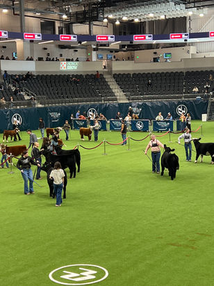 Kansas Ranchers Represent at the National Western Stock Show