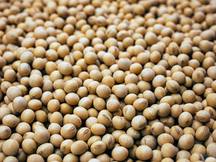 Bringing the Farm to the Classroom: Inside Kansas' Soybean Family & Consumer Sciences Program