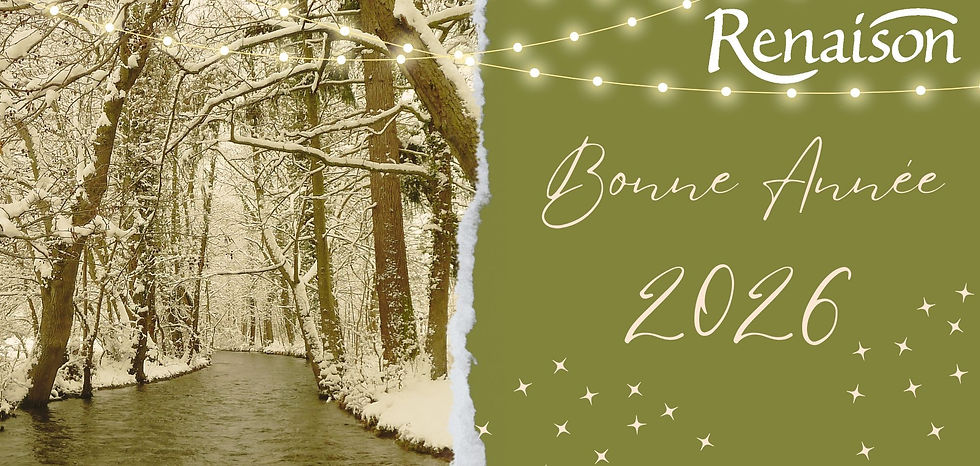 Vœux à la population