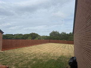 IMG_2106.jpeg