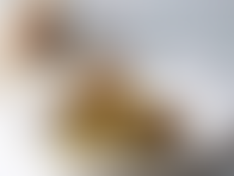 Gourmet Food Trends 2025: Why Quail Eggs and Dubai Chocolate Are the Next Big Thing in Food