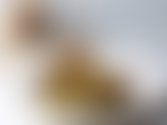 Gourmet Food Trends 2025: Why Quail Eggs and Dubai Chocolate Are the Next Big Thing in Food