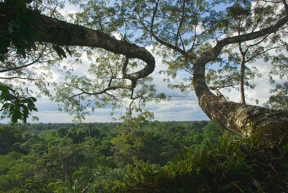 IMGP8554Napo.JPG