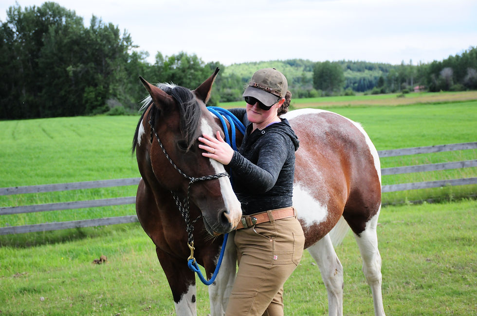 A woman pets a brown and white horse in a grassy field.