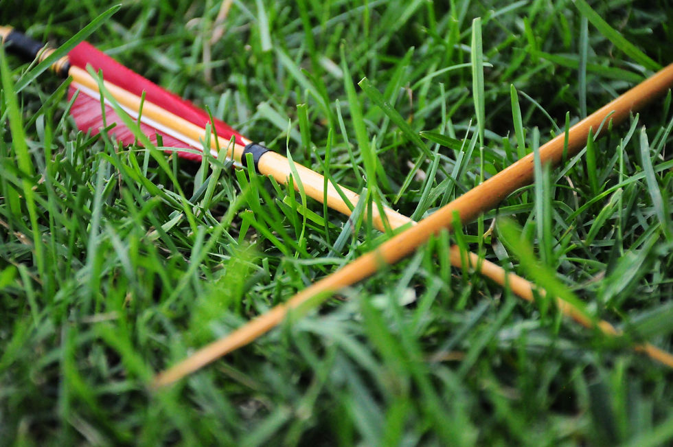 A broken arrow lays in grass.