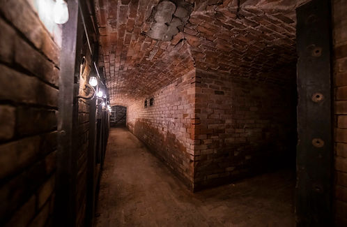B-Tunnels 7.jpeg