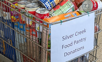 Grocery cart full of donated food