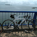 DSC_0137 (1).JPG