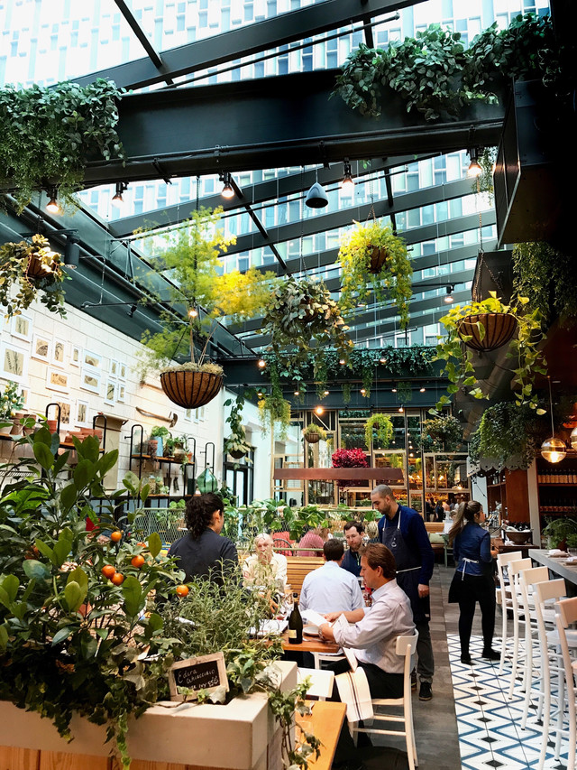Get Wallpaper Dinner At Terra At Eataly Boston Desktop Wallpaper