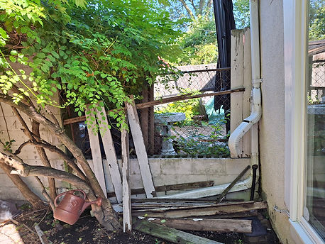 Fence_Before