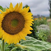 WhatsApp Image 2026-01-22 at 10.05.43.jpeg