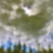 ree