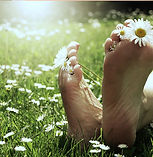gänseblume_edited.jpg