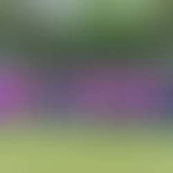 3年生 松戸リーグ(秋) 3日目