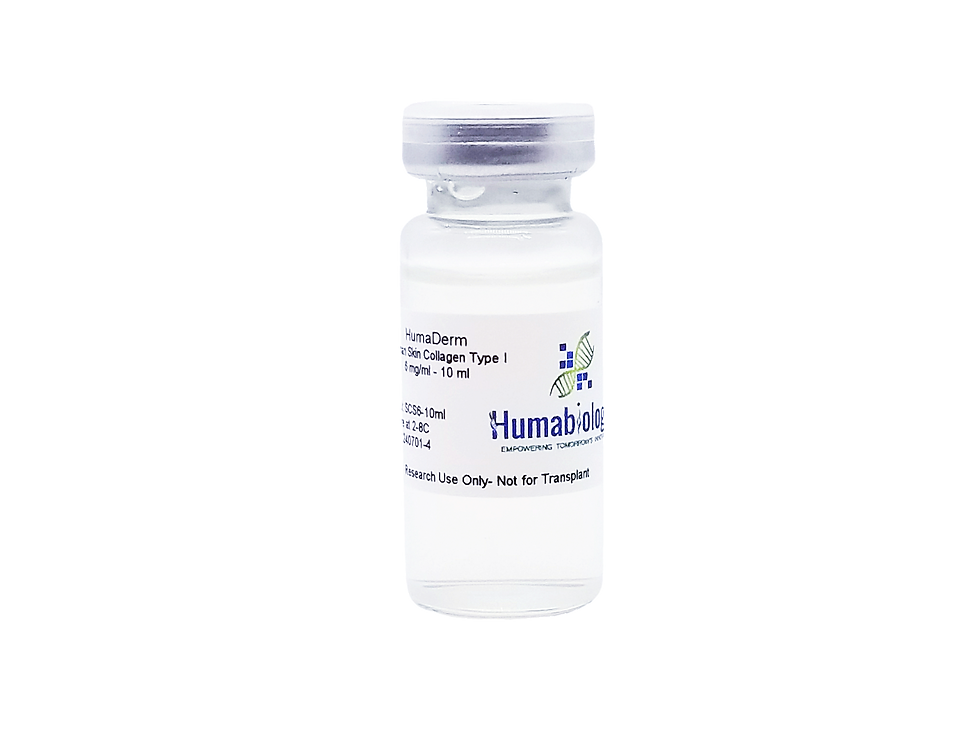 Thumbnail: HumaDerm Human Skin Collagen Type I, Solution