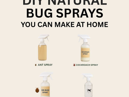 DIY Natural Bug Sprays You Can Make at Home