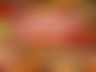 Top 10 Caribbean Dishes You Have to Try