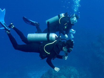 Top 3 Things To Consider When Going on a Diving Trip