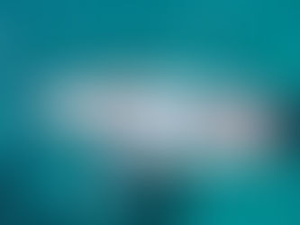 Caribbean Party Boat: Fun Activities To Experience