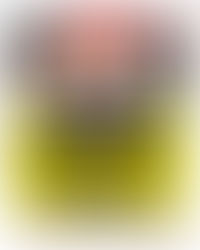 Intimate Concert Jamaica Returns Jan. 4th, 2025