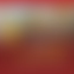 Top 10 Local Restaurants in Trinidad and Tobago (2025 Foodie Guide)