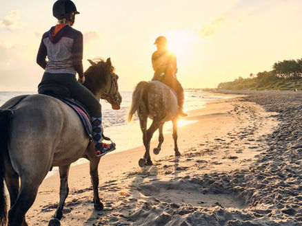 Advice for Beach Horseback Riding in the Caribbean
