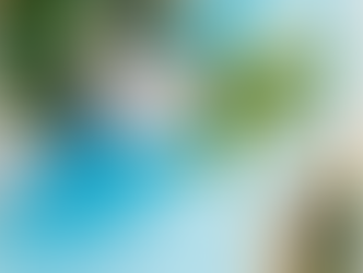 Get Paid to Stay at the Boardwalk Aruba Boutique Hotel for a Month - Social Media Content Creator 
