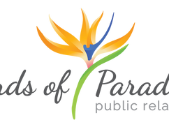 Boutique Public Relations Agency Caters To Caribbean Businesses