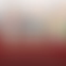 Featured Business Spotlight: Root & Flame Jamaican Spice—Where Island Fire Meets Family Tradition