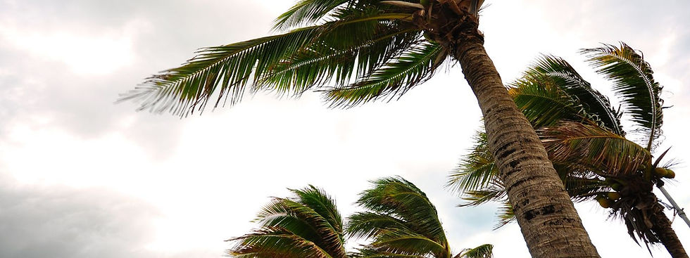 How To Prepare To Shelter in Place for a Hurricane