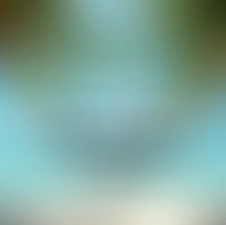 Essential Tips for a Perfect Caribbean Vacation