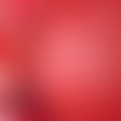 The History of Valentine’s Day: From Ancient Rome to Modern Love