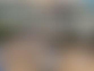 Reggae On The River Return to Northern California August 4-7; 32 years Anniversary Exciting Line-Up