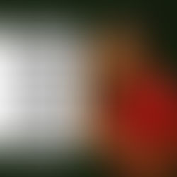 Beyond the Hairline: Learning vs. Grooming in the Story of the “Edges"