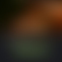 Trinidad Sweet Bread (Coconut Bread): A Caribbean Christmas Classic You Must Try