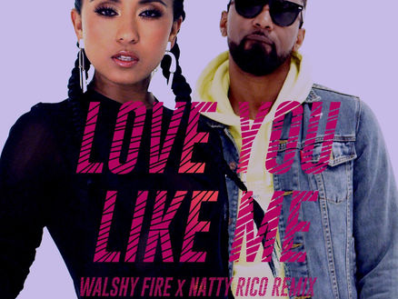 International Pop Artist Che’Nelle Teams up with Dancehall Heavyweights Konshens, Walshy Fire, &