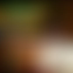 International Reggae and World Music Awards: Vybz Kartel Dominates 2026 Nominations with 11 Nods