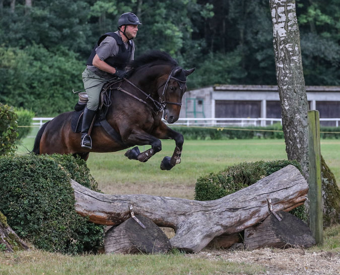 Pferde, Springreiten, Shooting, Turnier, Pferdeshooting