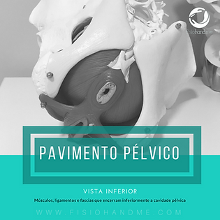 Reabilitação Pavimento Pélvico Setúbal