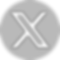 X.png