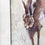 Thumbnail: Hare in Winter (Framed) *